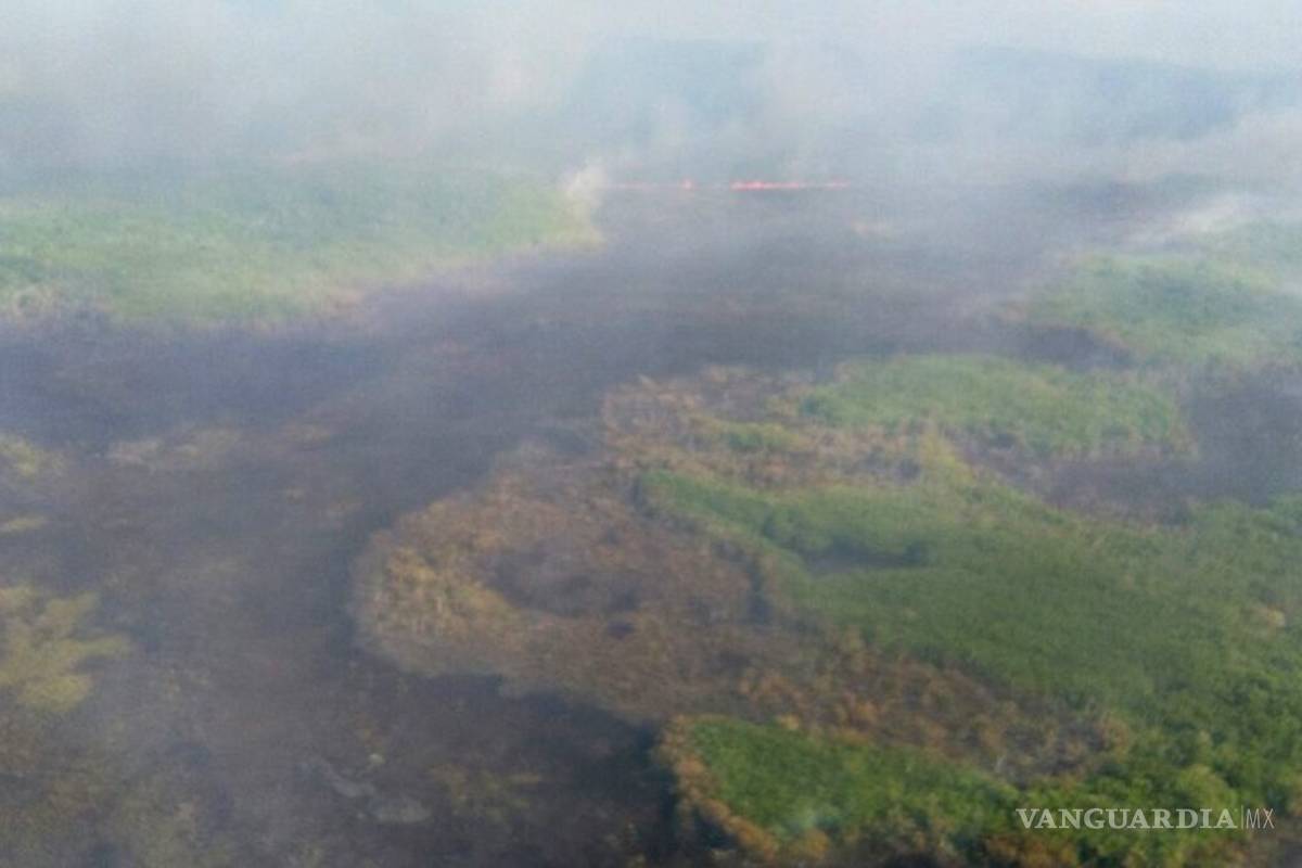 Incendio consume reserva de Dzilam en Yucatán