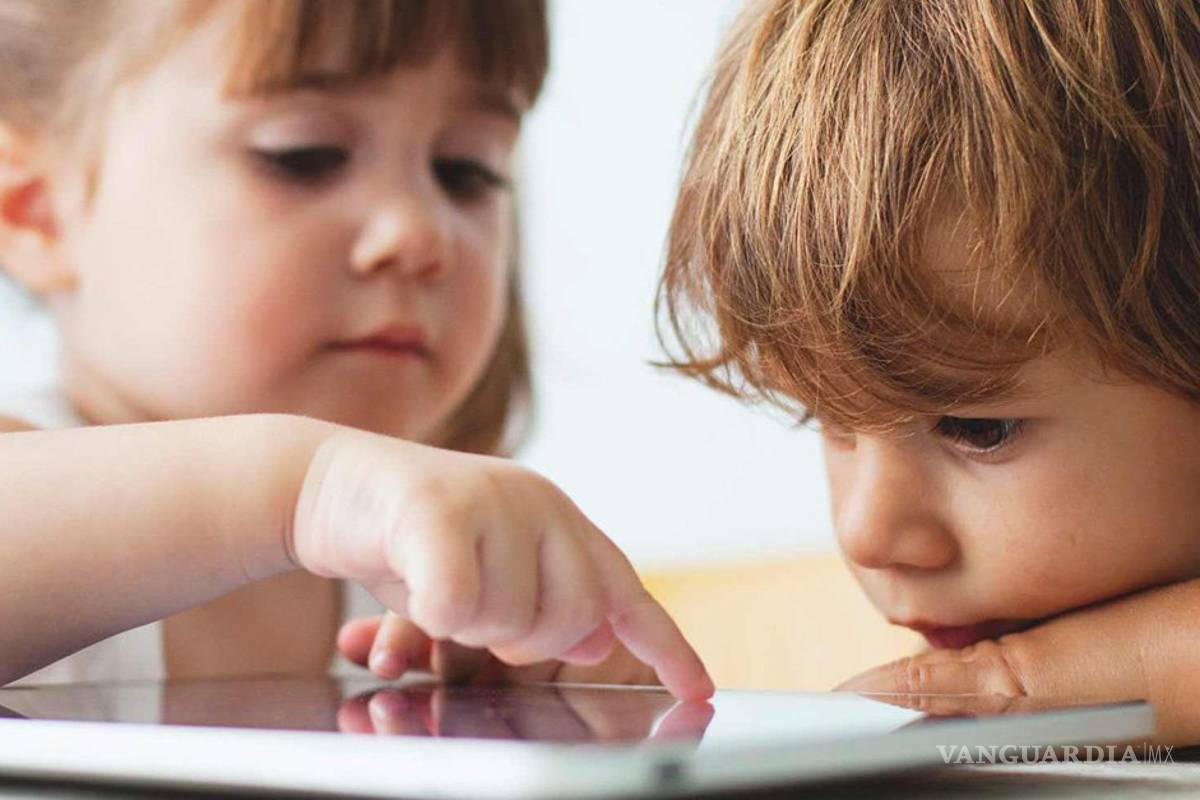 &quot;Privar a los niños del acceso a la red tendrá efectos negativos a largo plazo&quot;