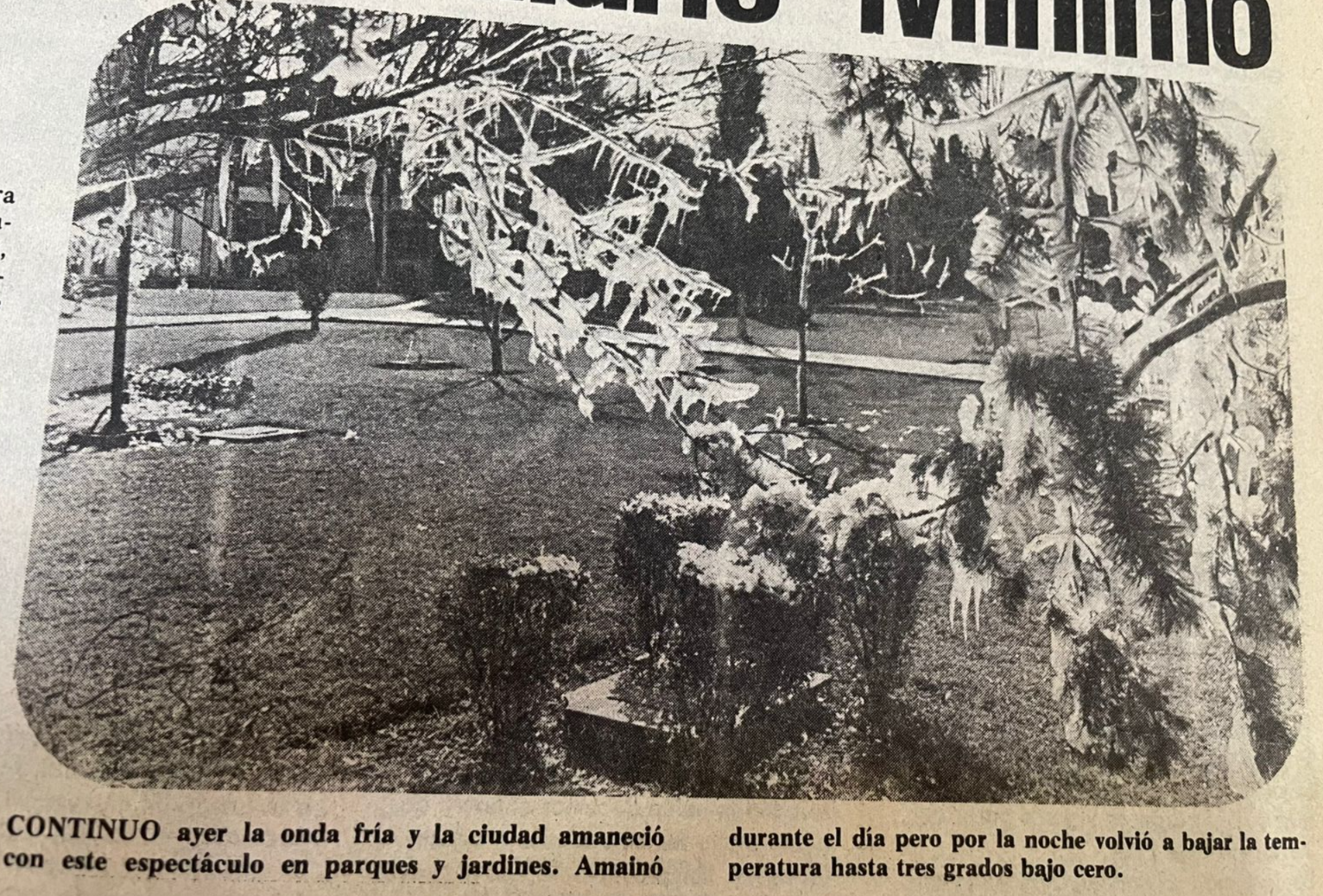 $!Helada de enero de 1962, cuando las temperaturas cayeron a 14 grados bajo cero, marcando un récord de frío en Saltillo.