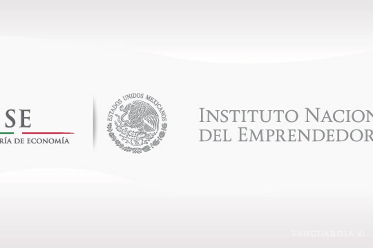 Instituto del Emprendedor no identifica a quien entrega recursos públicos: ASF