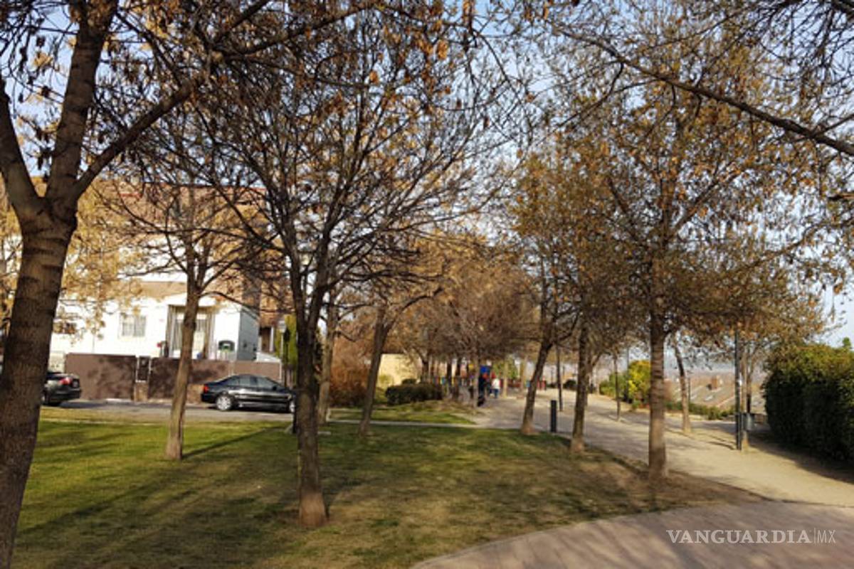 Entre varios violan a niña de 12 años en España, caso sale a la luz un año después