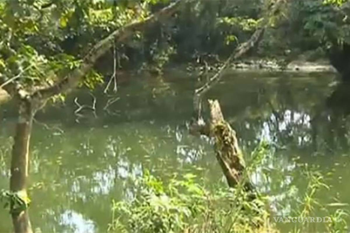 Socavón se &quot;traga&quot; agua de un río en Veracruz