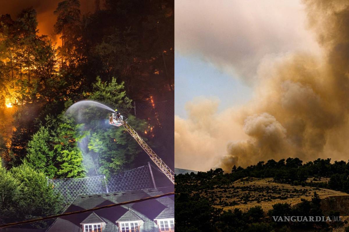 Incendio forestal devora mil hectáreas en República Checa y en Grecia más de 3 mil