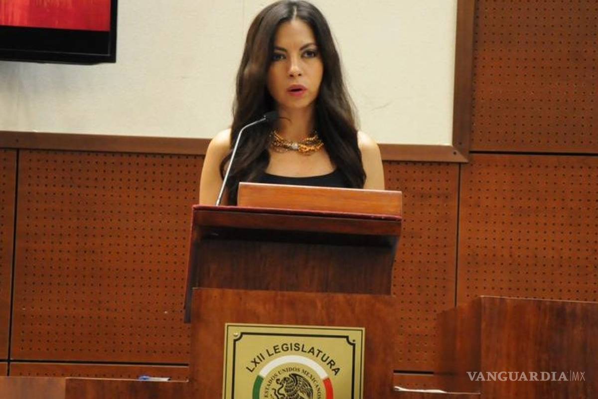 Diputada de Zacatecas busca evitar violaciones ¡cercando casas con malla!