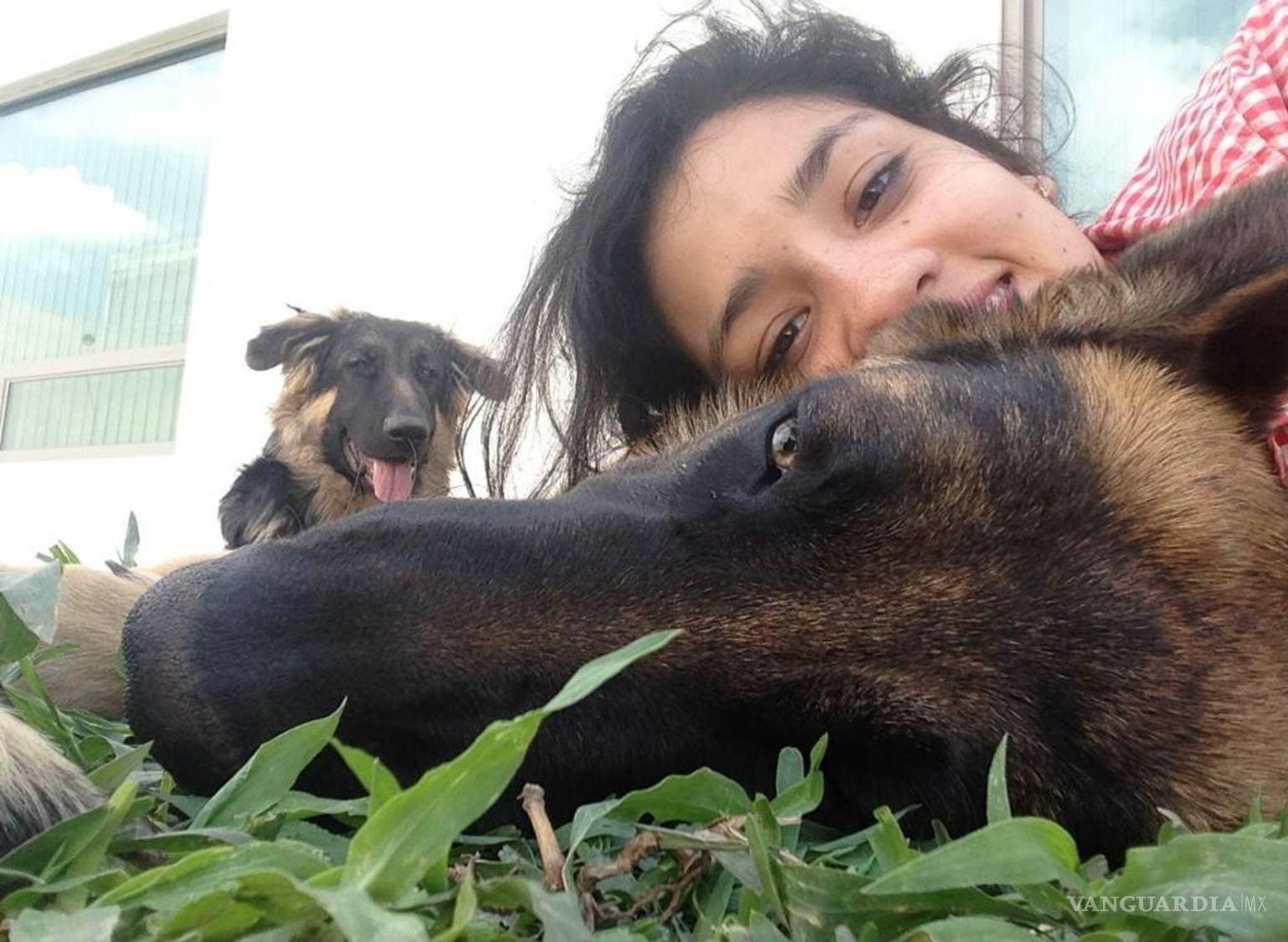 $!El adiós a una mascota: ‘quieres gritar, pero no puedes’; de crematorios, lutos y ausencias que pocos pueden entender