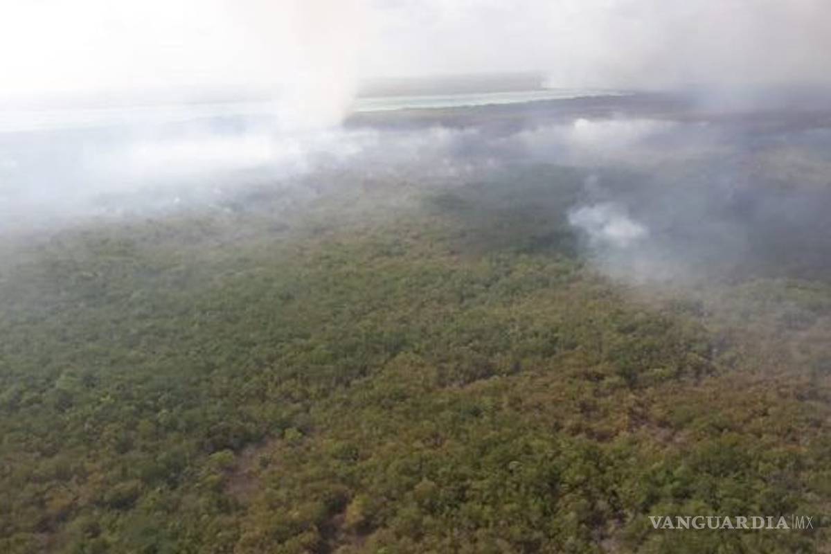 Recortes a Conafor complican control de fuego en Sian Ka’an: Protección Civil de Quintana Roo