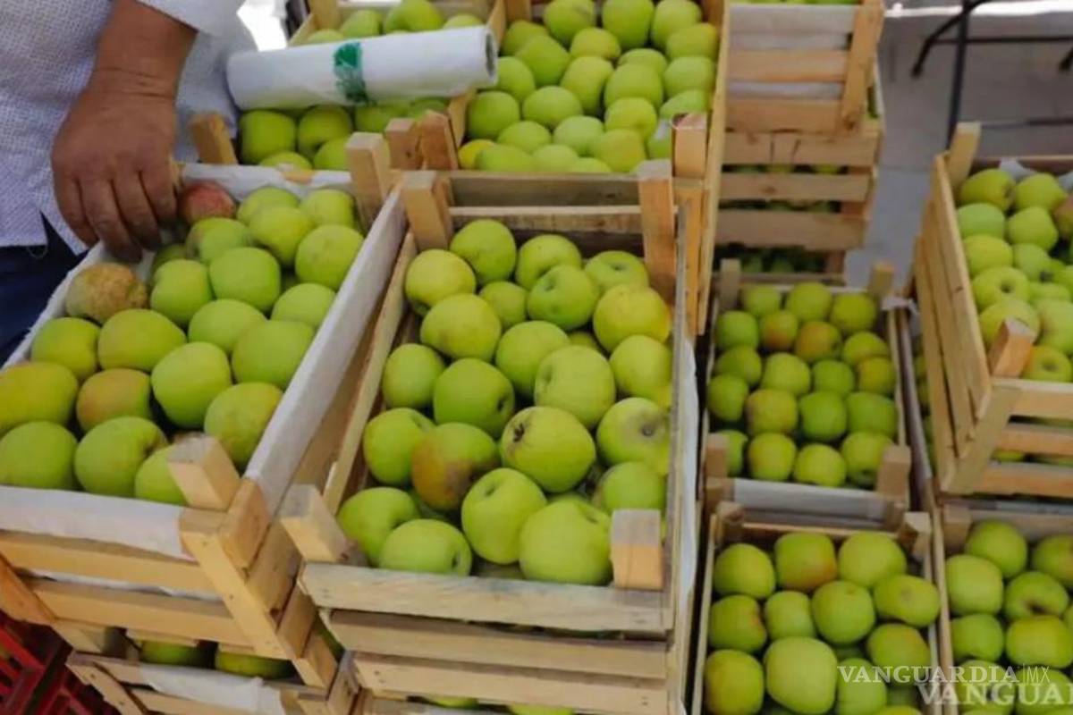 Arteaga se prepara para su Festival de la Manzana 2025