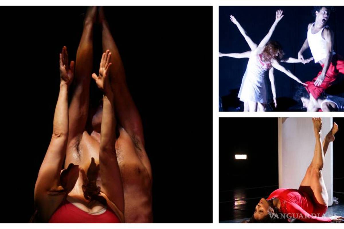 Cecilia Appleton recibe Medalla Bellas Artes por trayectoria