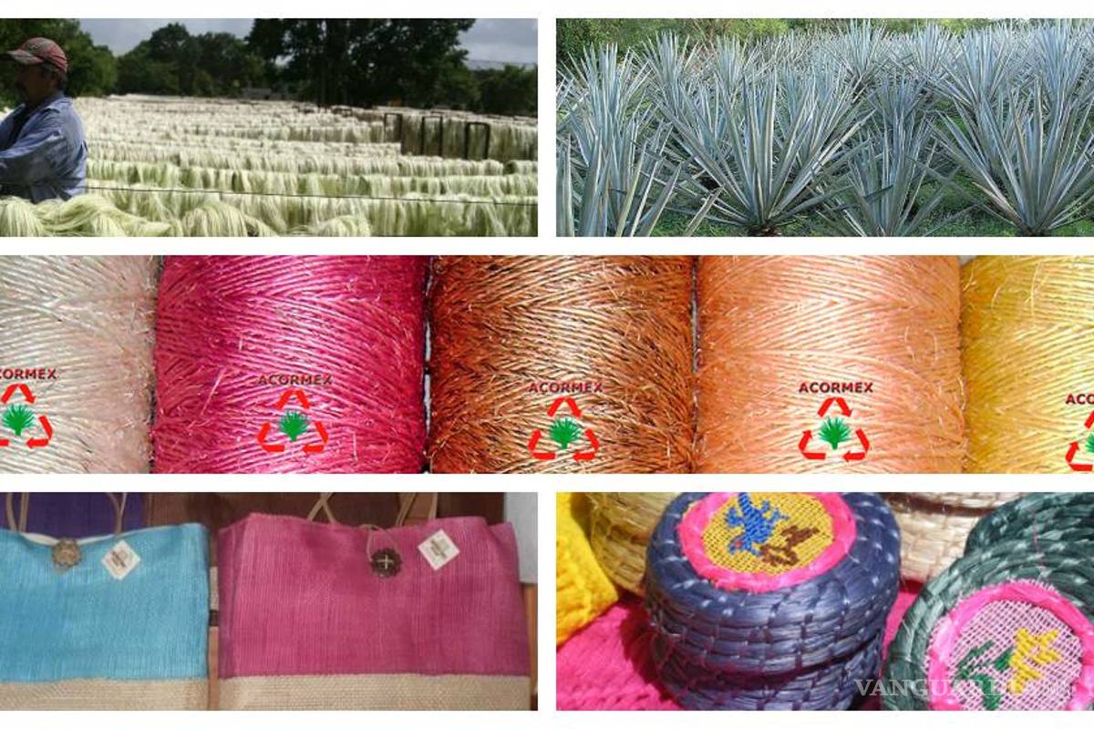 Henequén, “el oro verde de Yucatán”