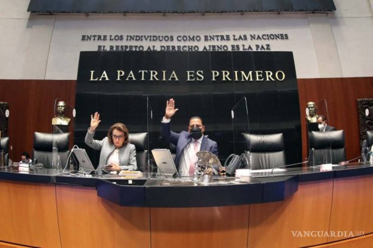 Senado aprueba en lo general la reforma eléctrica de AMLO