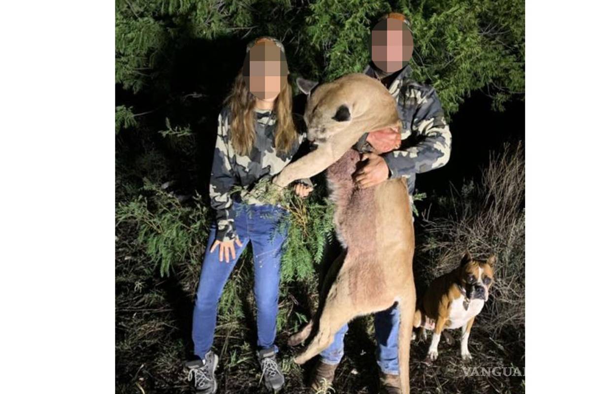 No hay permisos vigentes para la cacería de bisontes en Coahuila