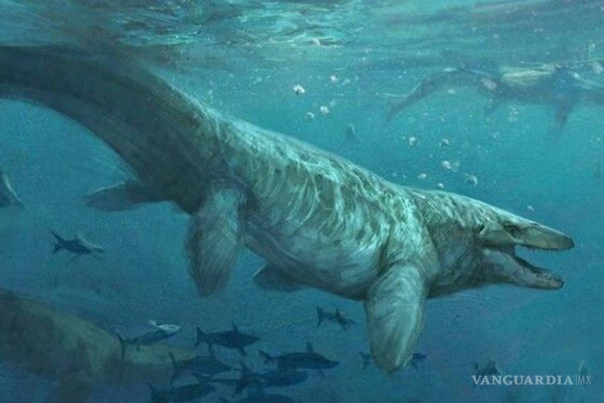 $!El asteroide que mató a los dinosaurios también extinguió a los tiburones