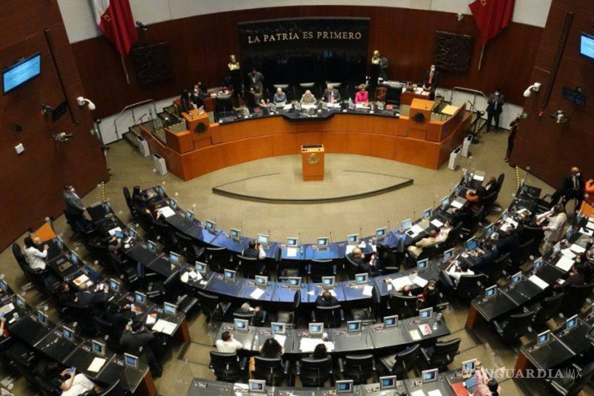 Aprueban en comisiones de Senado la Ley Minera de AMLO