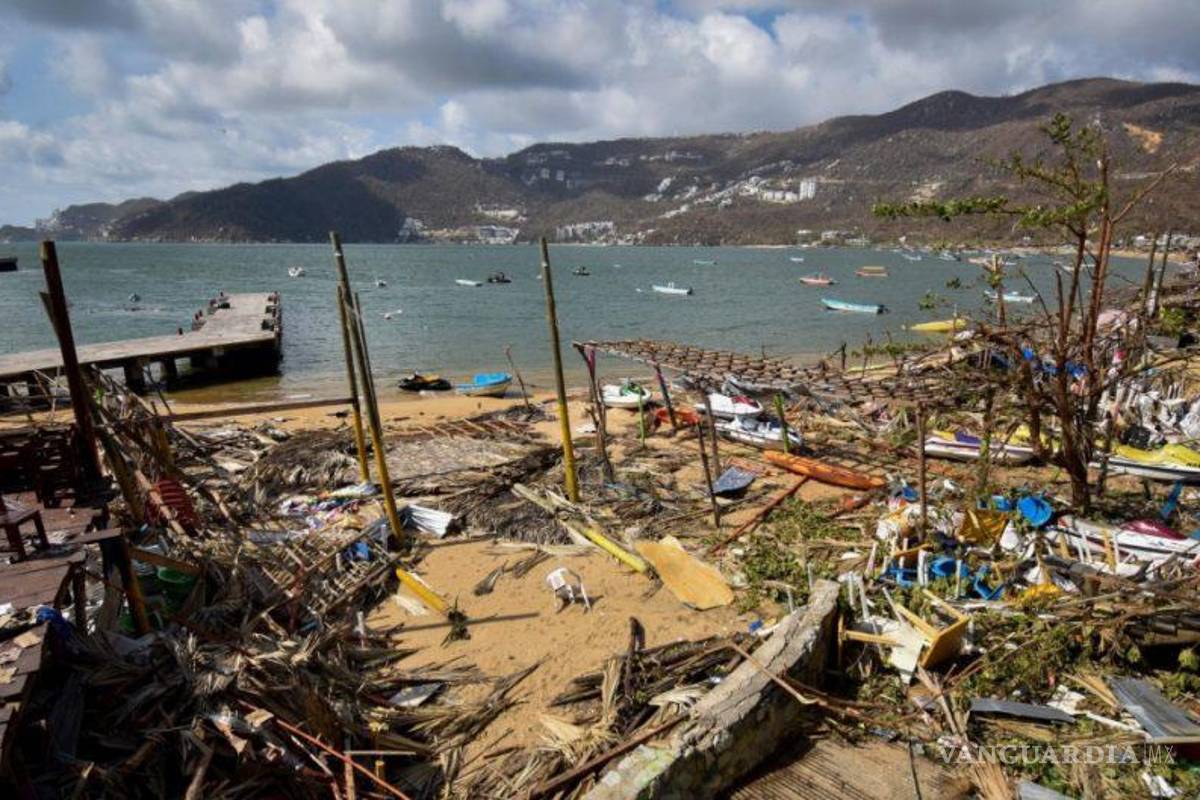 Huracán Otis no solo destruyó la infraestructura de Acapulco, sino también devastó la flora y la fauna