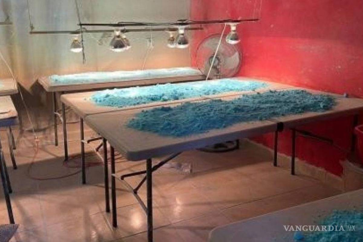 Se incrementa demanda de tratamientos médicos por fentanilo; pasan de 25 a 518 casos