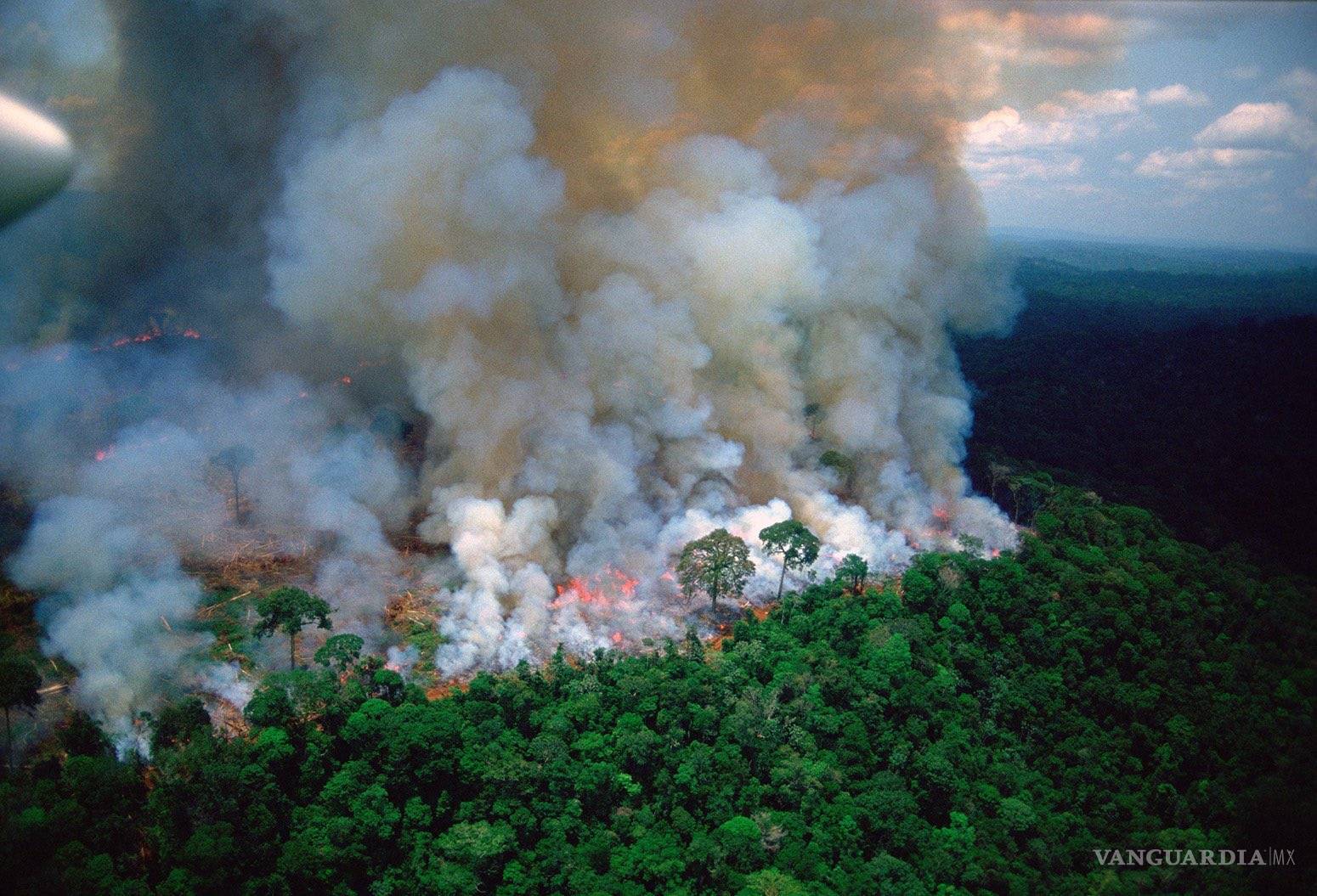 $!Consecuencias de los incendios en la Amazonia