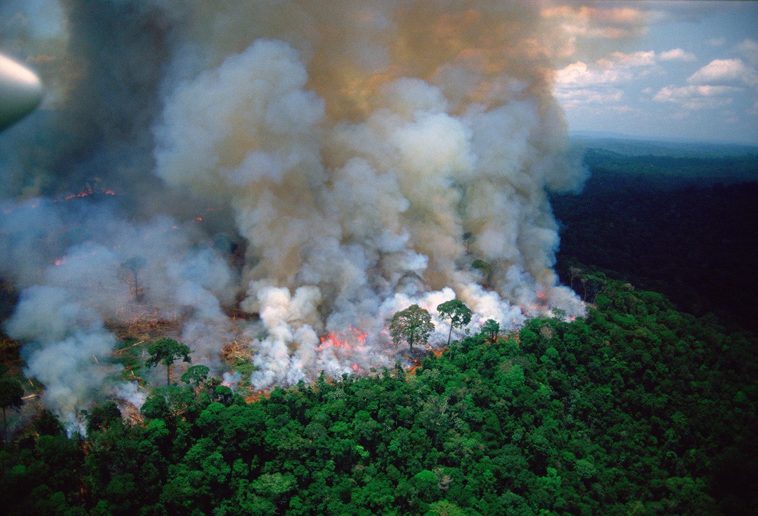 $!Consecuencias de los incendios en la Amazonia