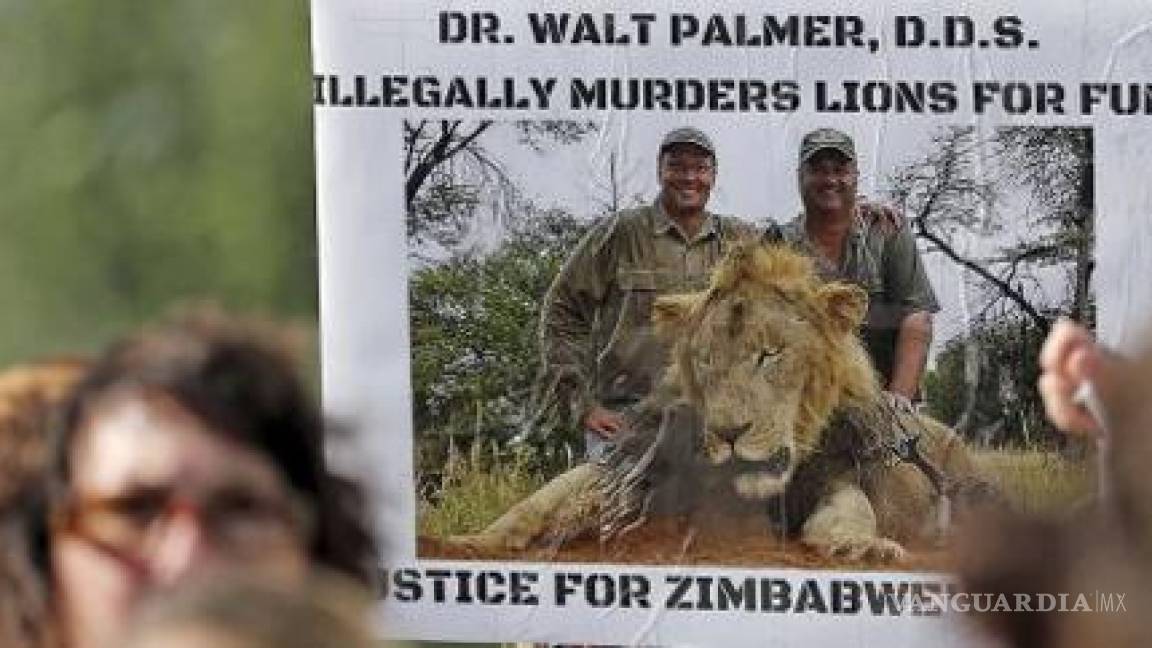 Cazador primero mató a famoso león ahora a carnero salvaje protegido