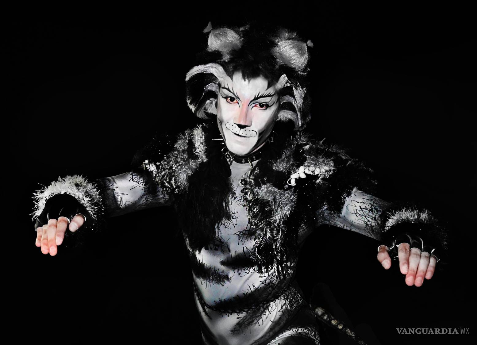 $!Cuarta Pared trae el musical ‘Cats’ de Andrew Lloyd Webber al Teatro de la Ciudad de Saltillo