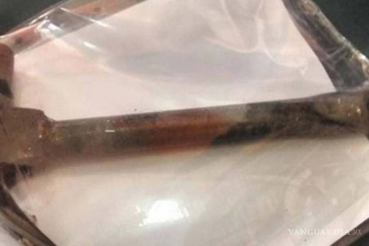 Mujer mató a su hijo autista ¡de 30 golpes de martillo en la cabeza!