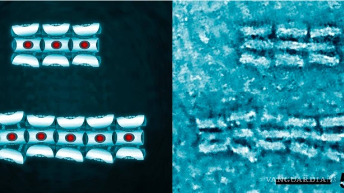 $!Nanobots, robots de ADN que permitirán curar heridas, desobstruir arterias y administrar medicamentos