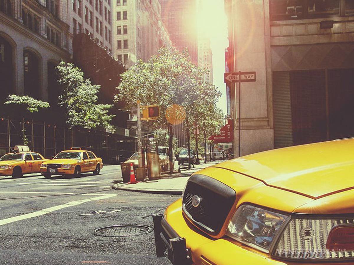 $!¿Por qué usar parasol en tu auto beneficia tu salud?