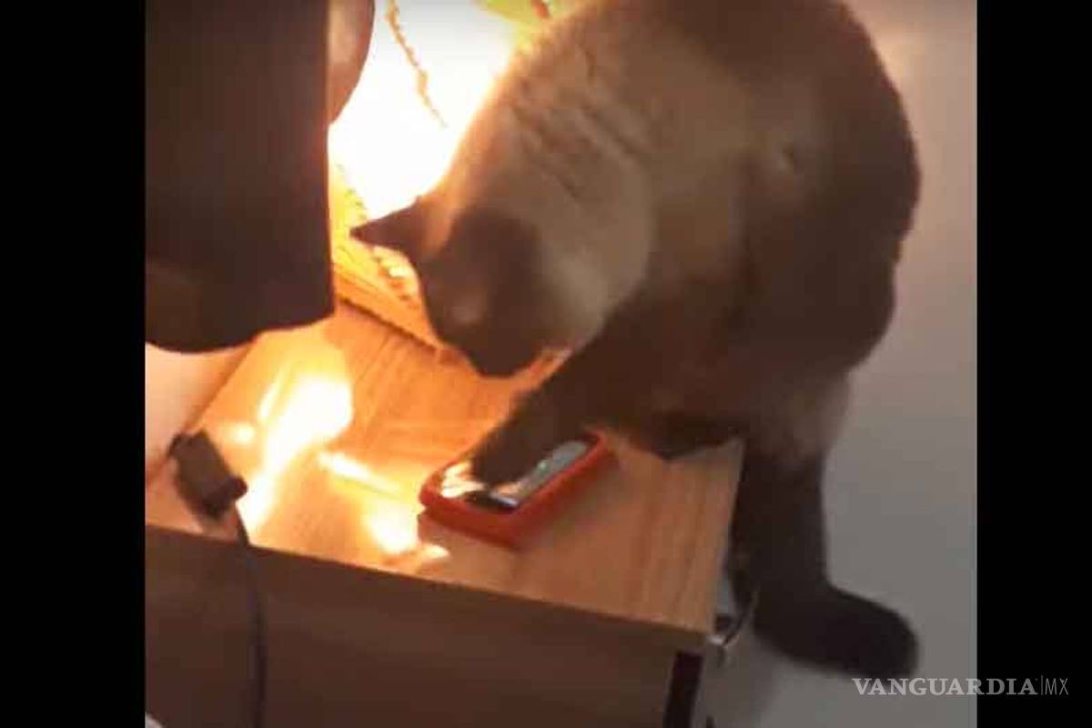 Siempre se quedaba dormida, hasta que descubrió quién le apagaba la alarma... (video)