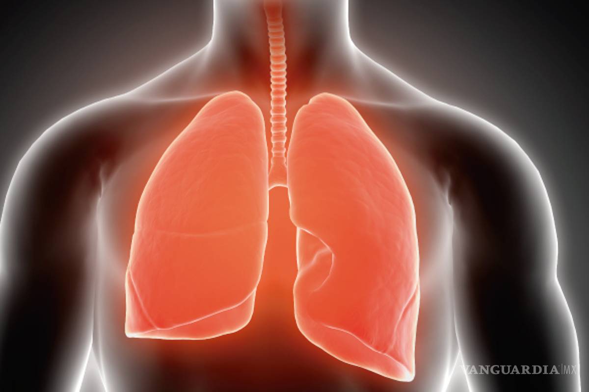 Microplásticos podrían alterar la función celular de nuestros pulmones