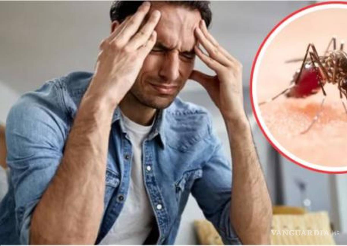 Tras lluvias, suma Coahuila 16 casos de dengue; fumigaciones orgánicas, alternativa