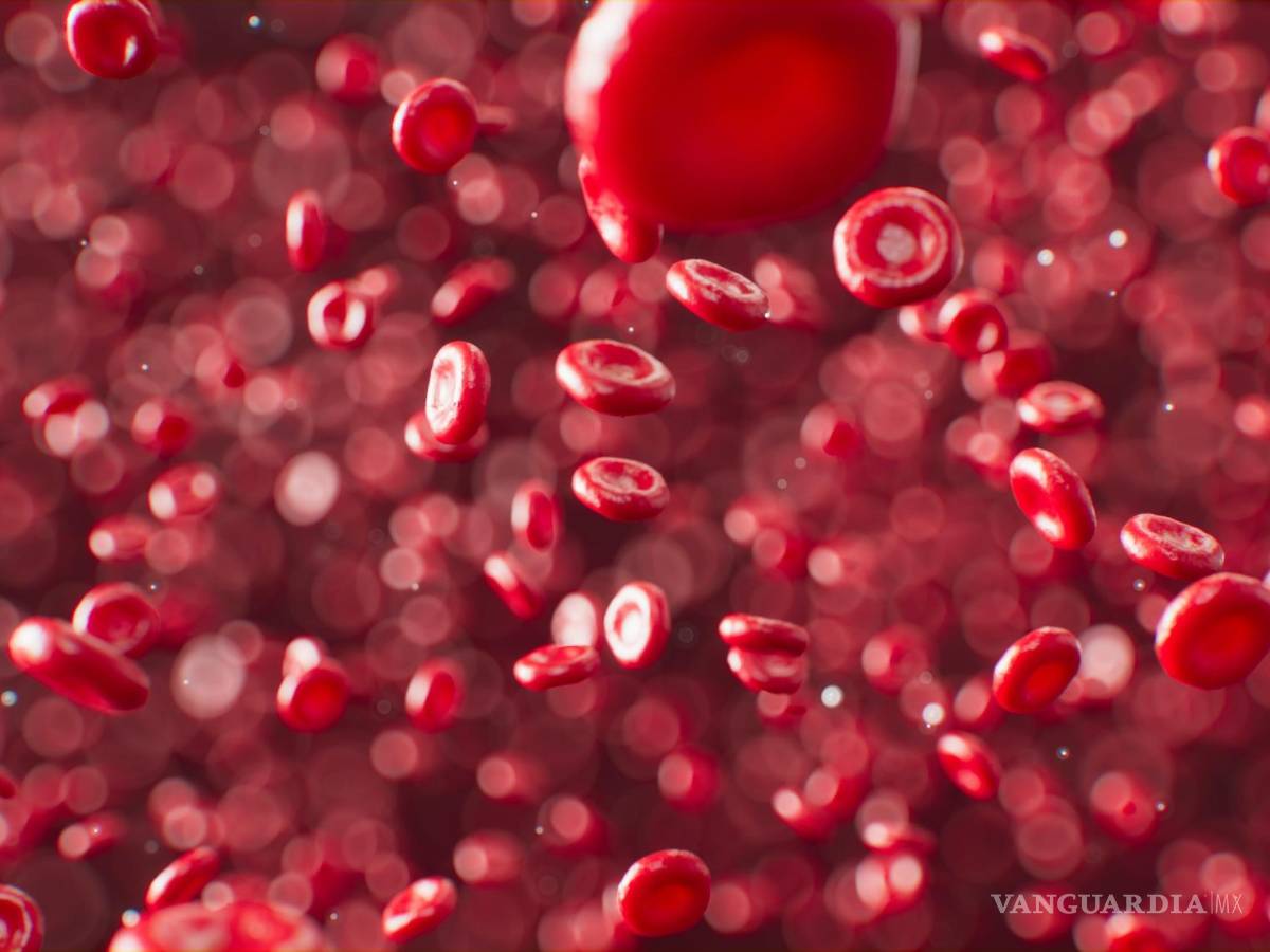 $!Hay estudios que sugieren que tomar un suplemento de hierro cada dos días es igual de efectivo que una dosis más frecuente.