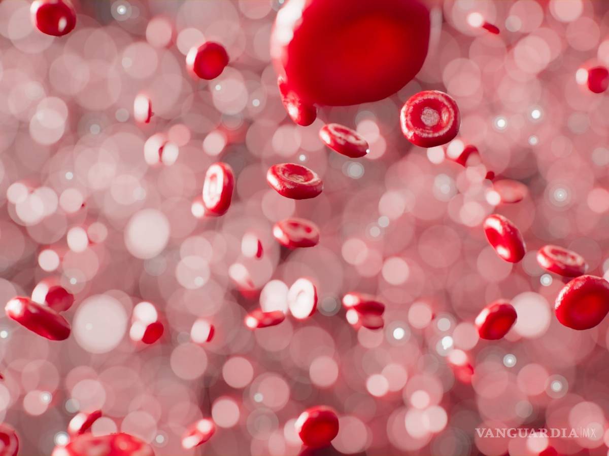 $!Los hombres de cualquier edad y las mujeres mayores de 50 años deberían consumir al menos 8 miligramos de hierro al día.