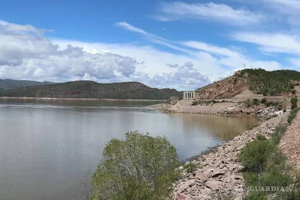 Peligra ciclo agrícola primavera-verano en La Laguna por bajo nivel de agua en las presas