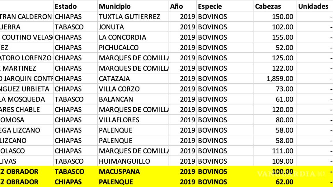 $!Hermano de AMLO, beneficiado con crédito millonario del gobierno