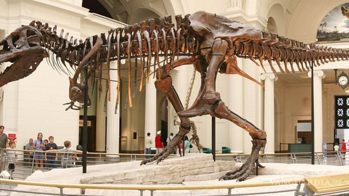 $!Los tiranosaurios no siempre fueron gigantes, revela la ciencia