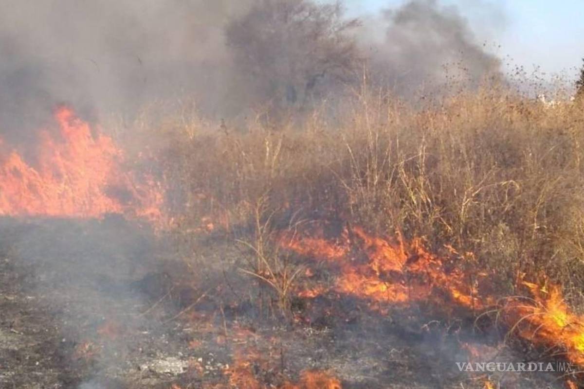 Bomberos de Piedras Negras reportan octubre ‘movido’ por incendios en lotes baldíos
