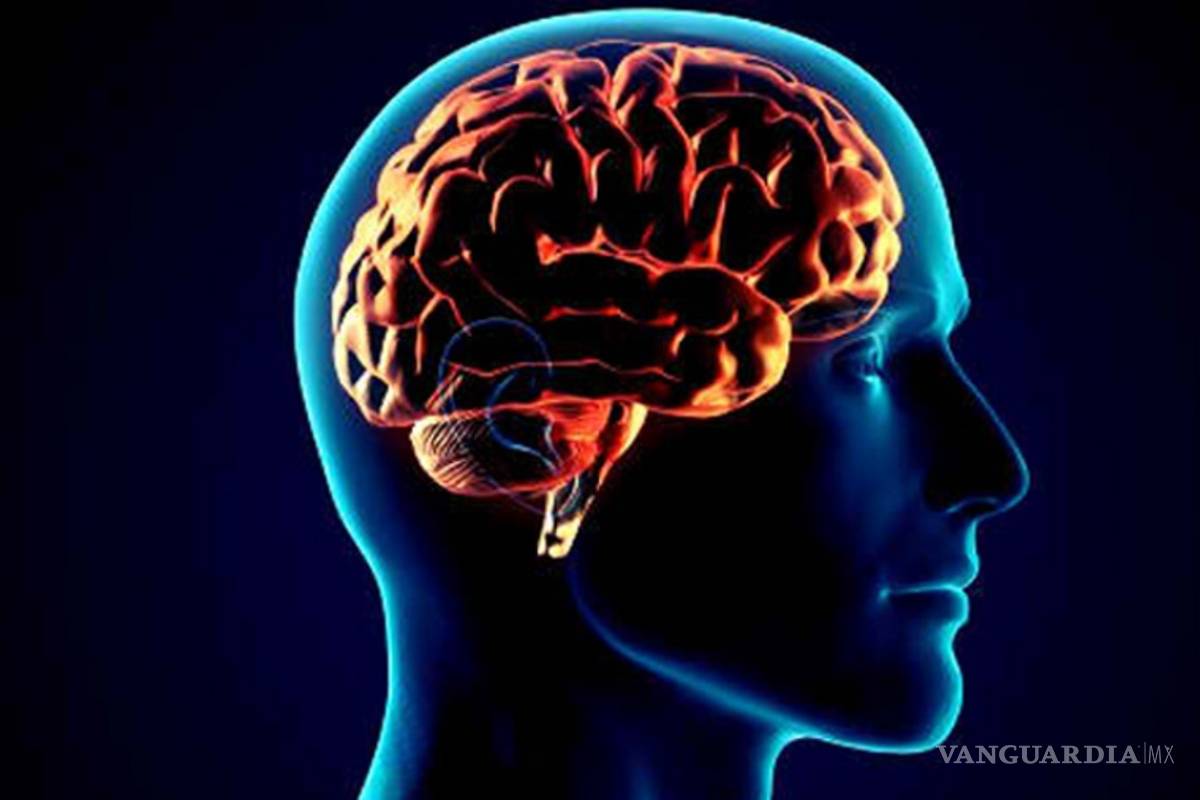 Estimulación cerebral favorece la honradez