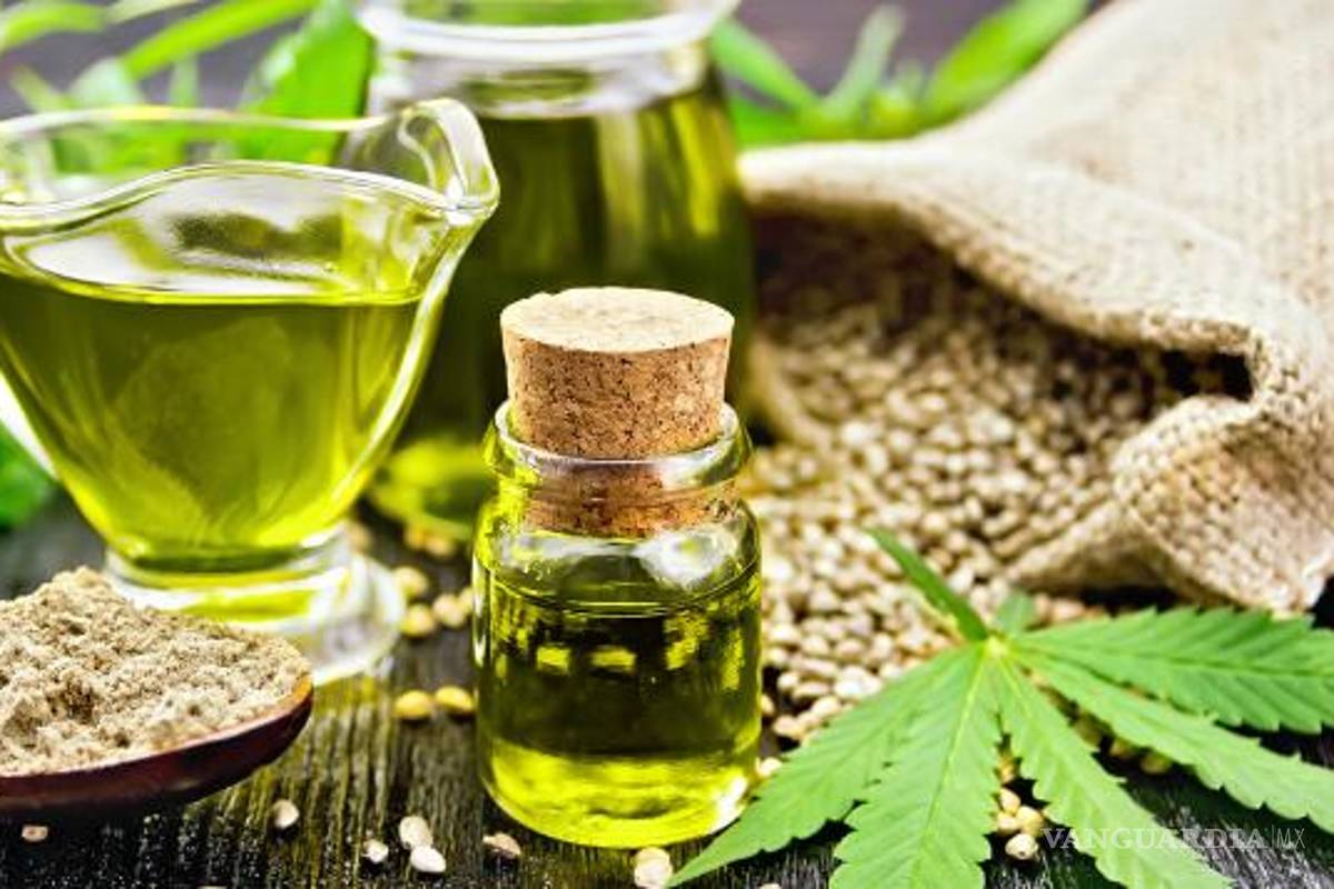 Descubren ácidos en la planta de cannabis que podrían evitar el COVID-19