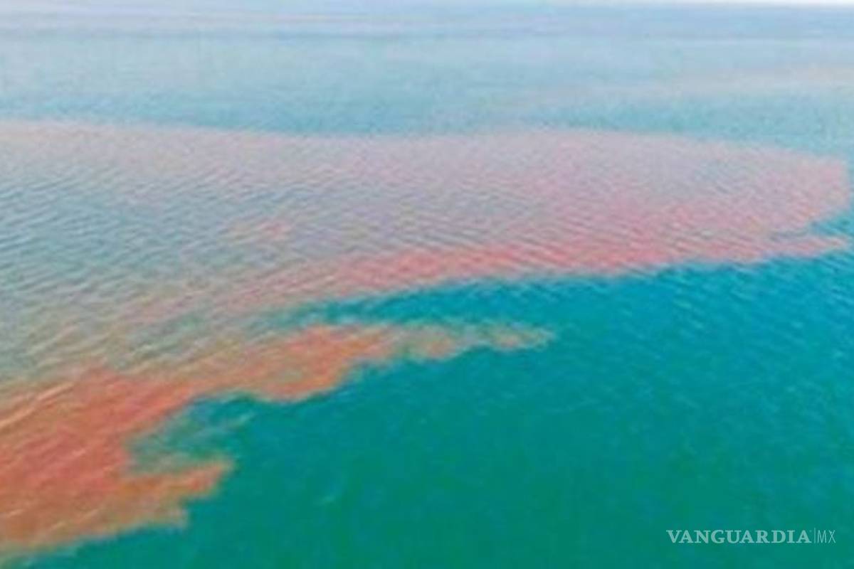 80 km de desechos fecales manchan Los Cabos