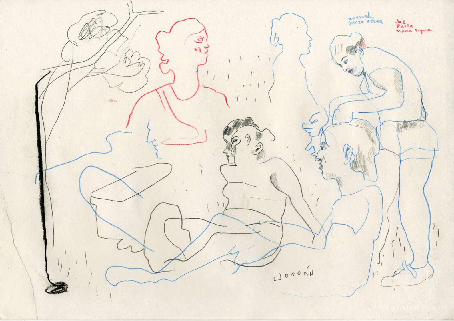 $!El Zapal ilustrado