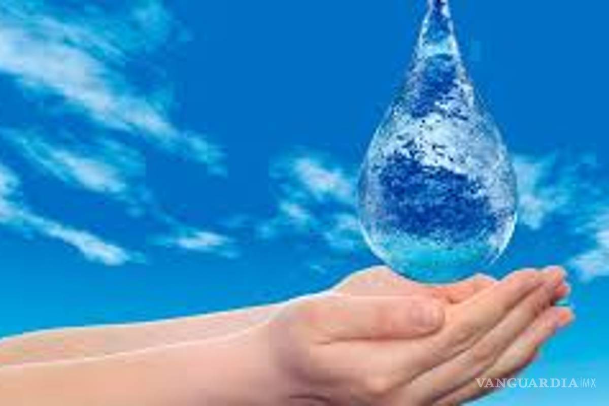 Daniel Milmo, co-director de Casa Madero, asegura que defenderán a capa y espada el agua de Parras