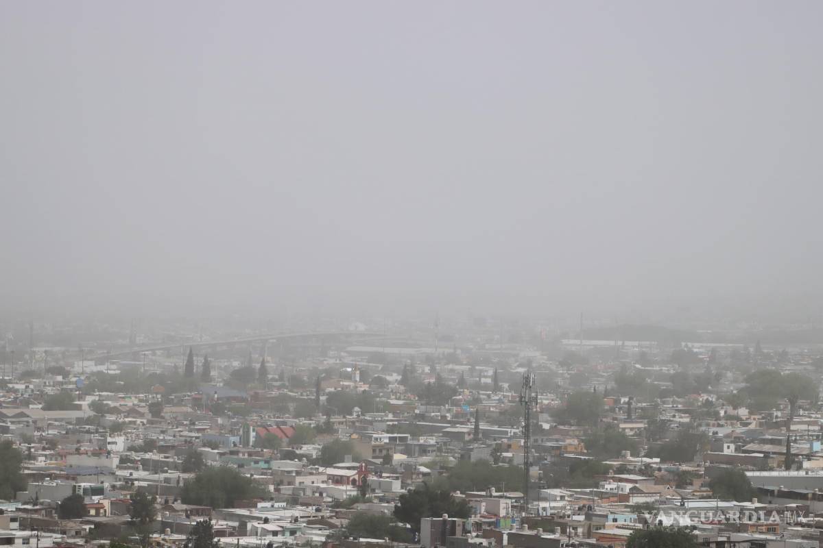 $!La Subsecretaría de Protección Civil insta a los grupos vulnerables a evitar salir al exterior y seguir las recomendaciones oficiales para reducir riesgos por la contaminación.