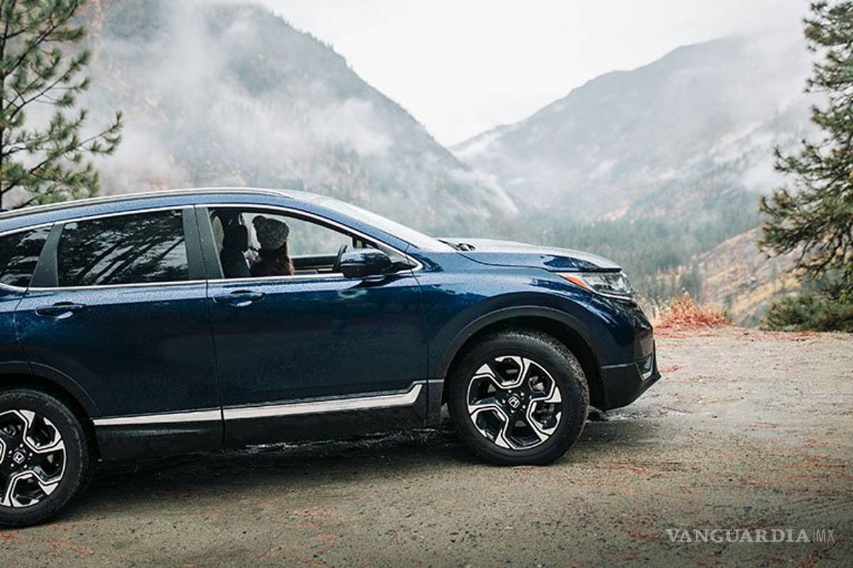 Mal año para Honda en México