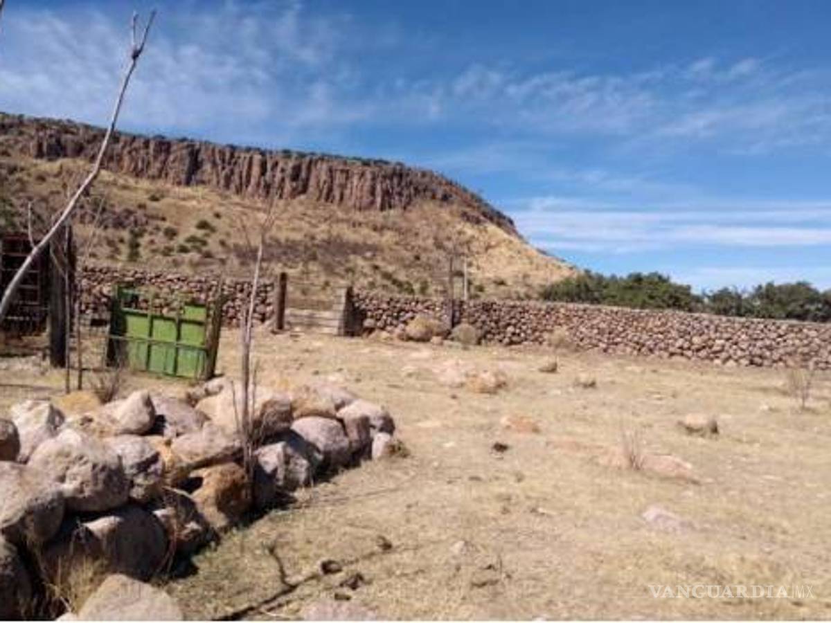 $!Encuentran llamas, bisontes y jabalíes en ranchos incautados a César Duarte