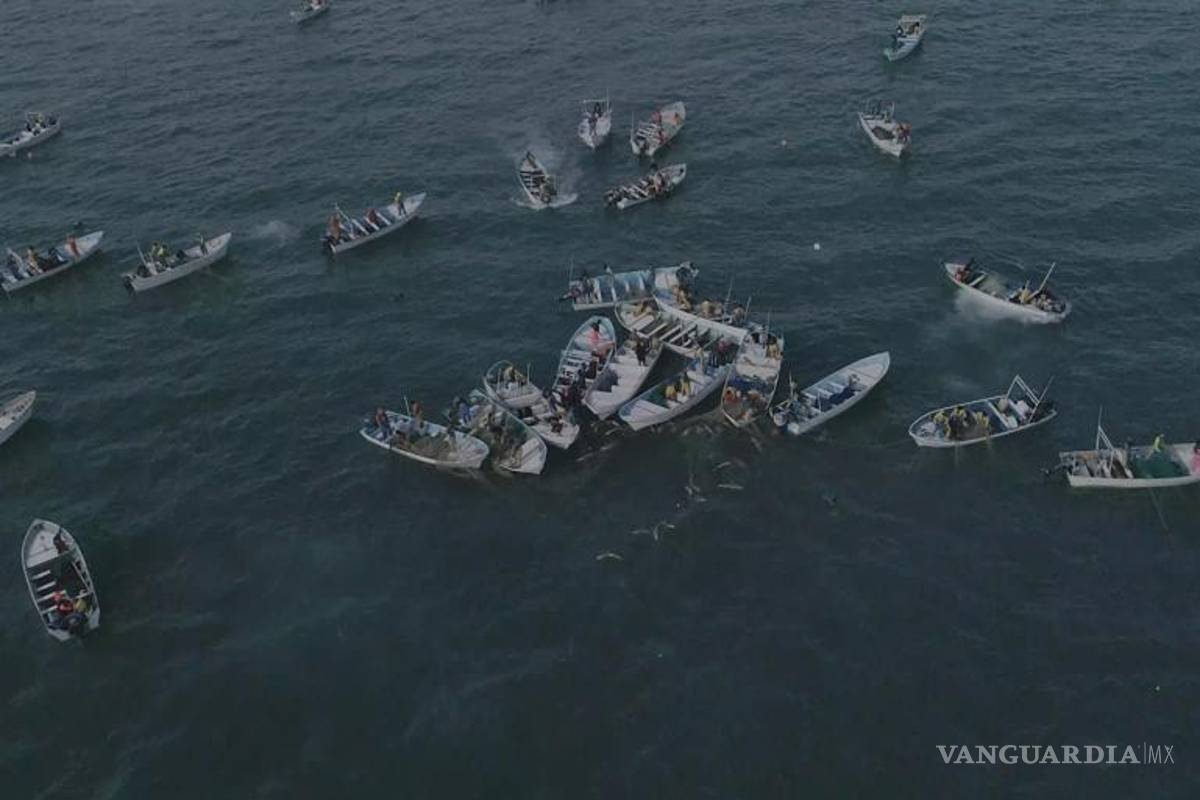 Como en el caso Ovidio Guzmán: fuerzas armadas capturan a integrantes del Cártel del Mar... ¡pero los dejan en libertad!