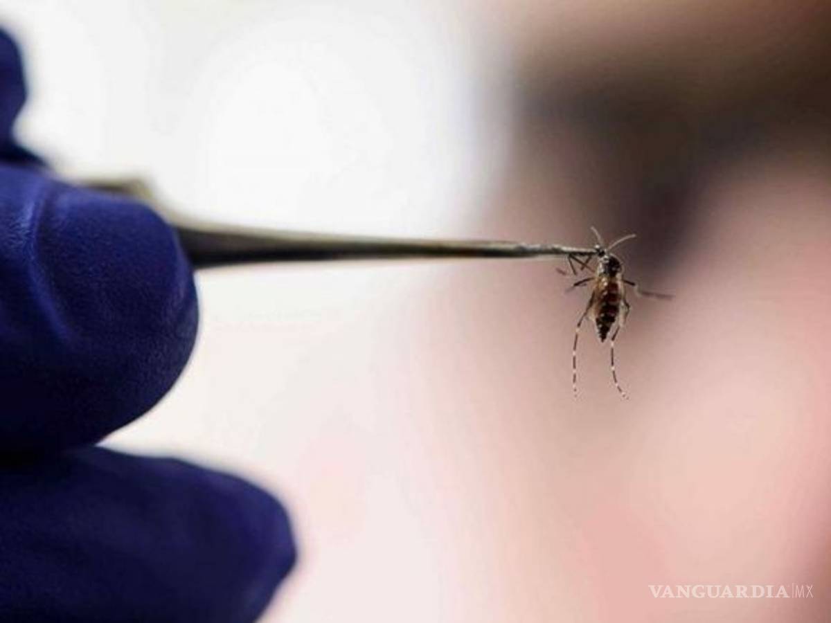 $!Dengue, migración, una posible guerra... las crisis internacionales que el coronavirus eclipsó