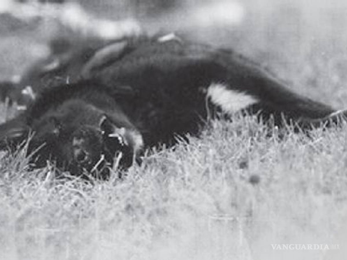 $!Afición invadió la pista en el GP de Australia