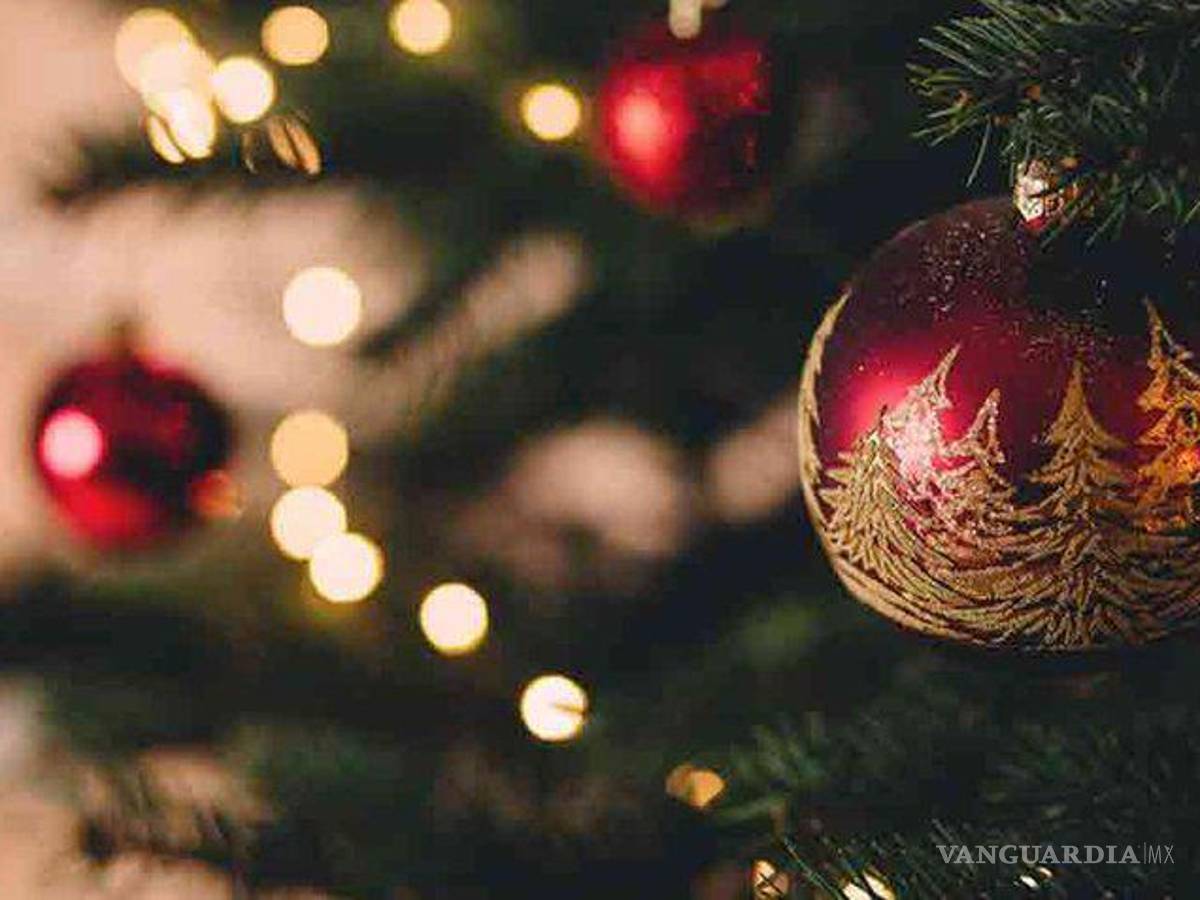$!¿Cuánto te costará armar el arbolito de Navidad este año?