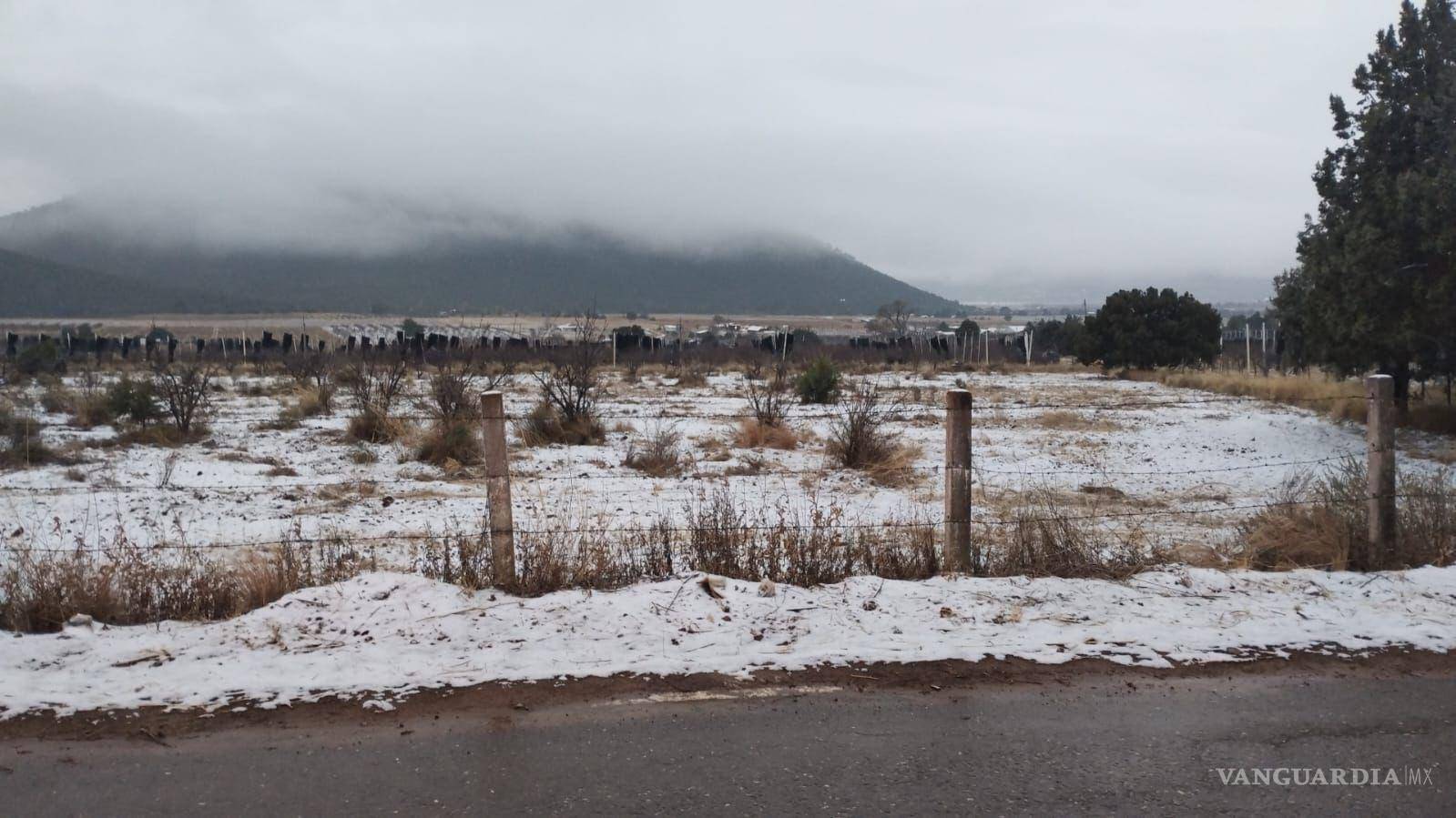 $!Protección Civil estuvo presente en los puntos más afectados por el hielo, asegurando la seguridad de los visitantes durante la madrugada.
