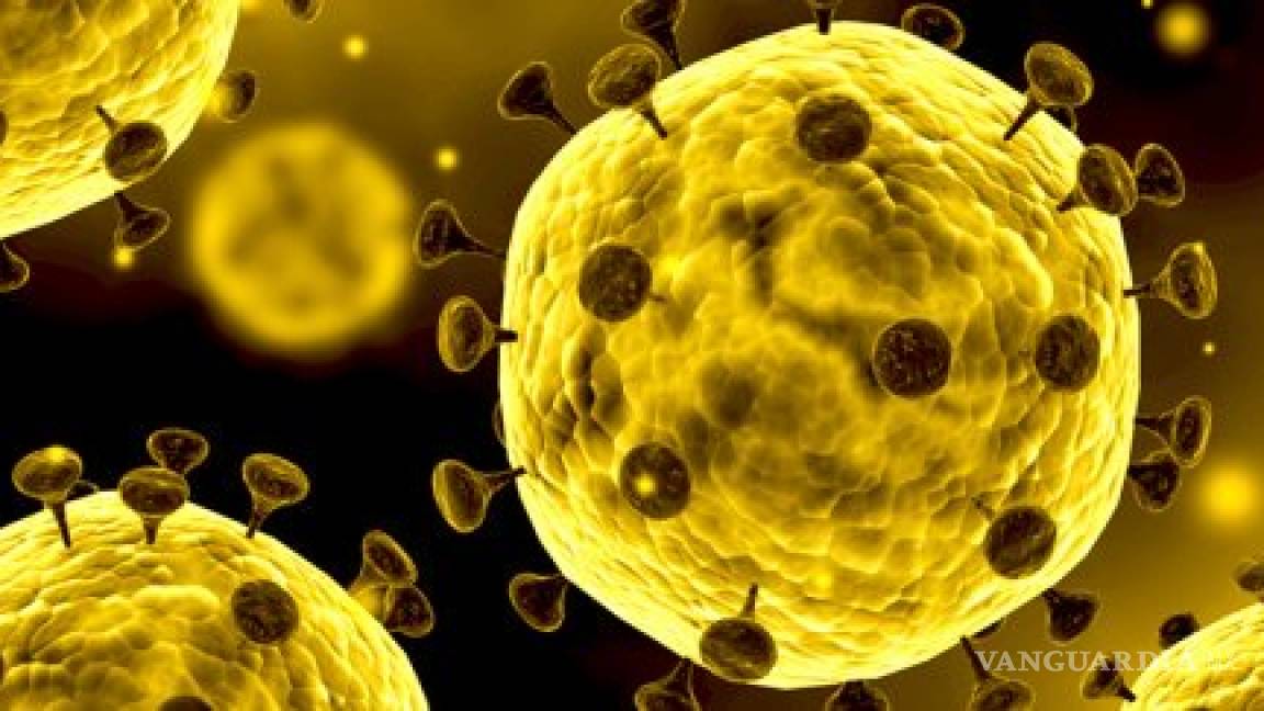 Salud llama a la población a no caer en pánico por coronavirus; México tendrá vocero único para informar