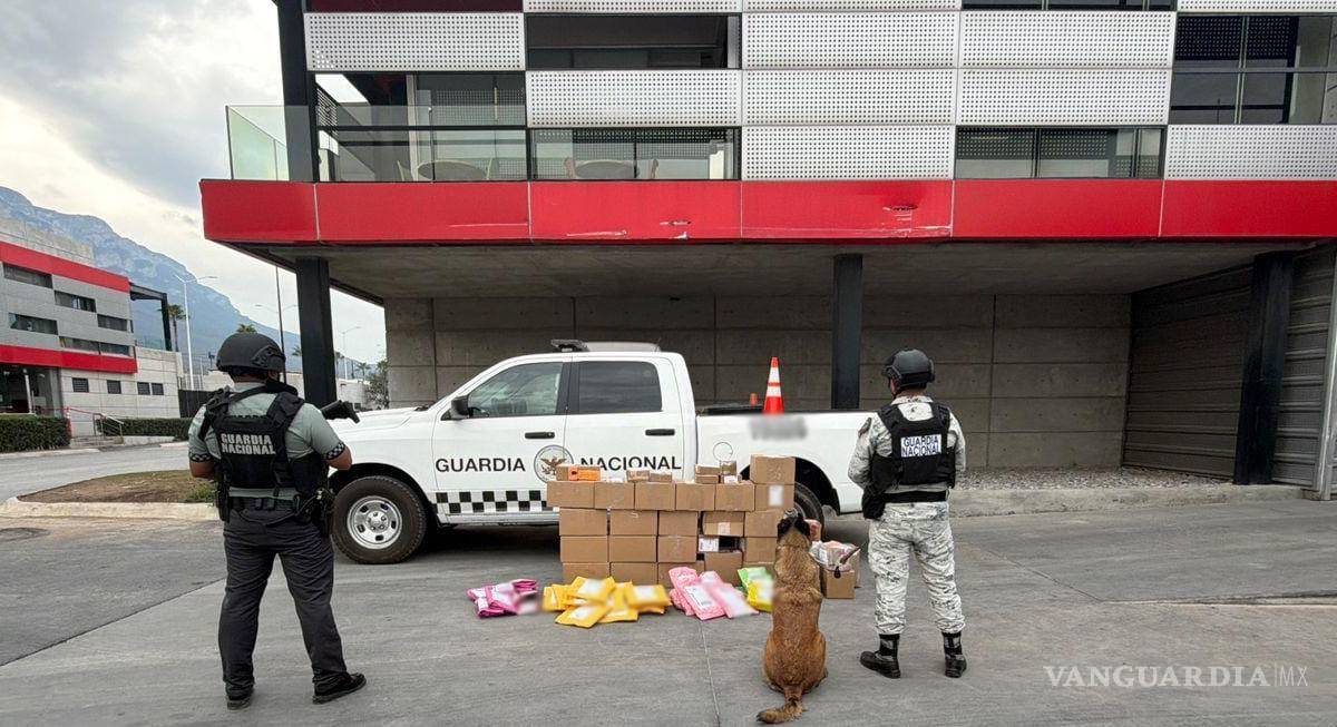 Enviaban desde Nuevo León droga por mensajería a 22 estados de México, entre ellos, Coahuila